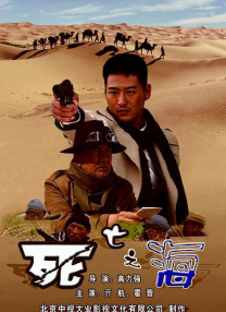 99久久精品久久久久久清纯